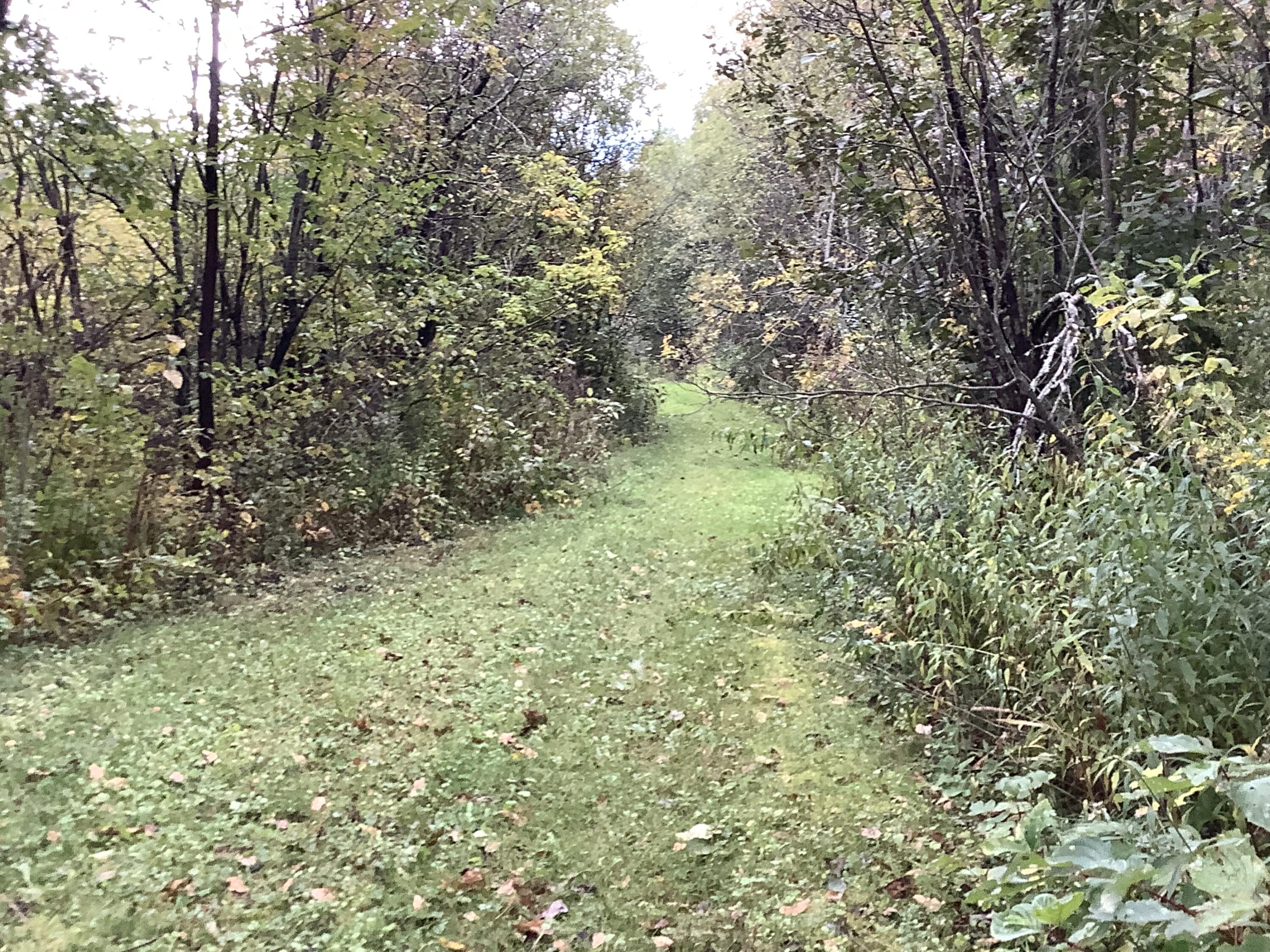 13 Cold Spring Road Ashland, ME 04732 - Photo 25 of 35 IMG_7780