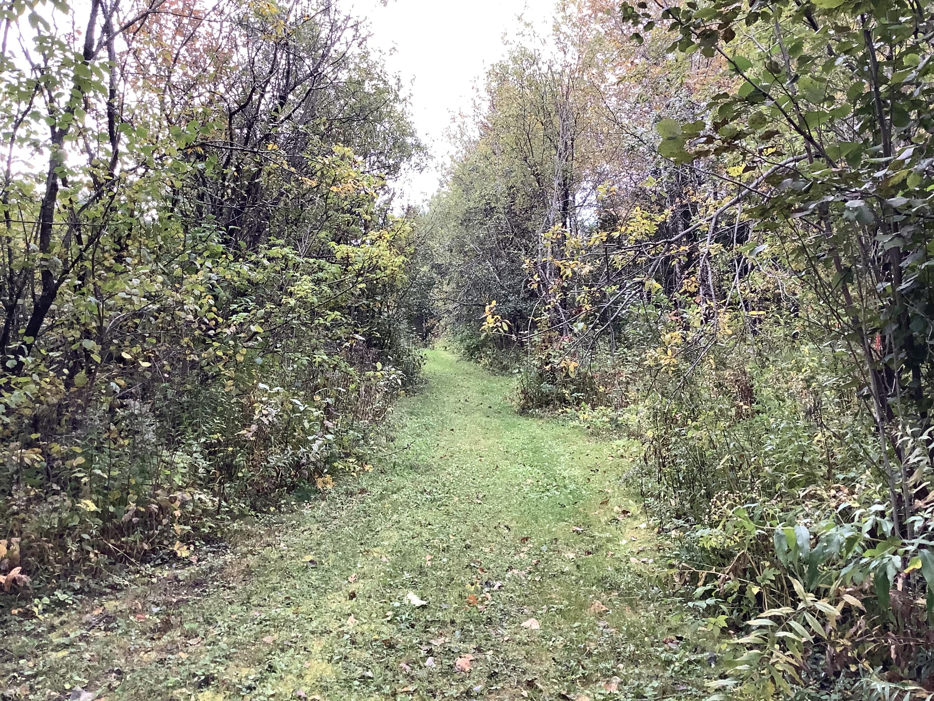 13 Cold Spring Road Ashland, ME 04732 - Photo 26 of 35 IMG_7781