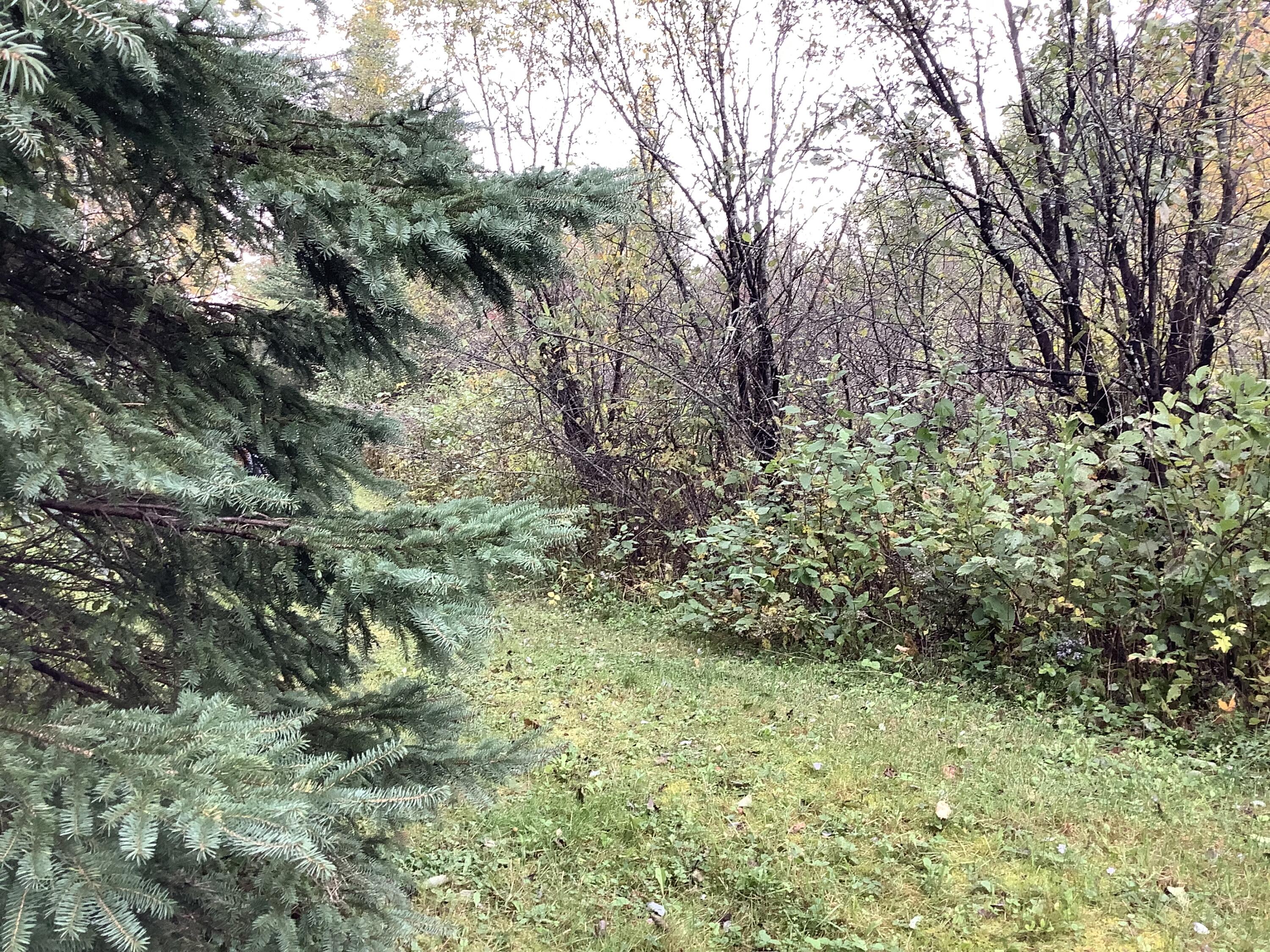 13 Cold Spring Road Ashland, ME 04732 - Photo 29 of 35 IMG_7784