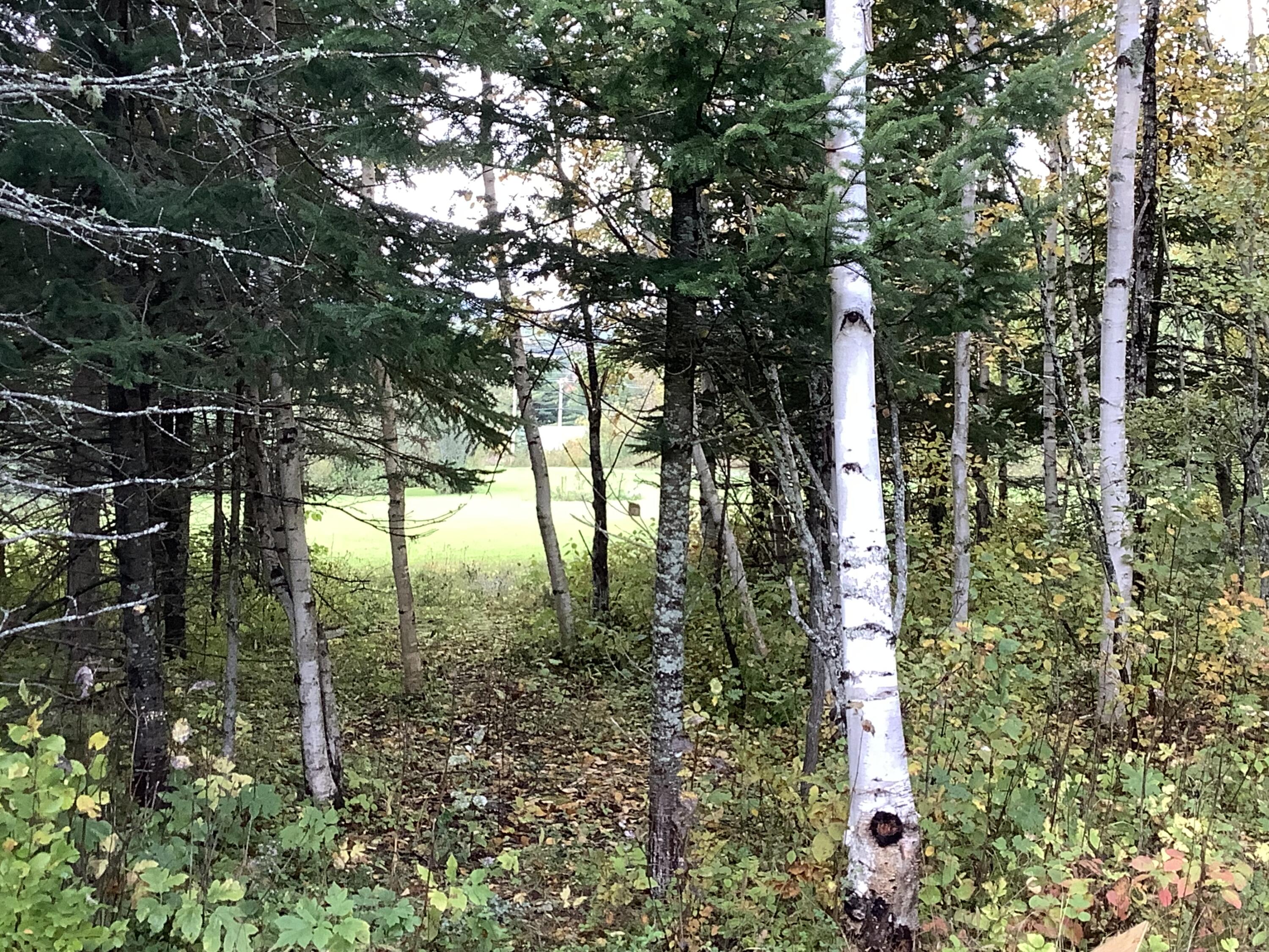 13 Cold Spring Road Ashland, ME 04732 - Photo 30 of 35 IMG_7746