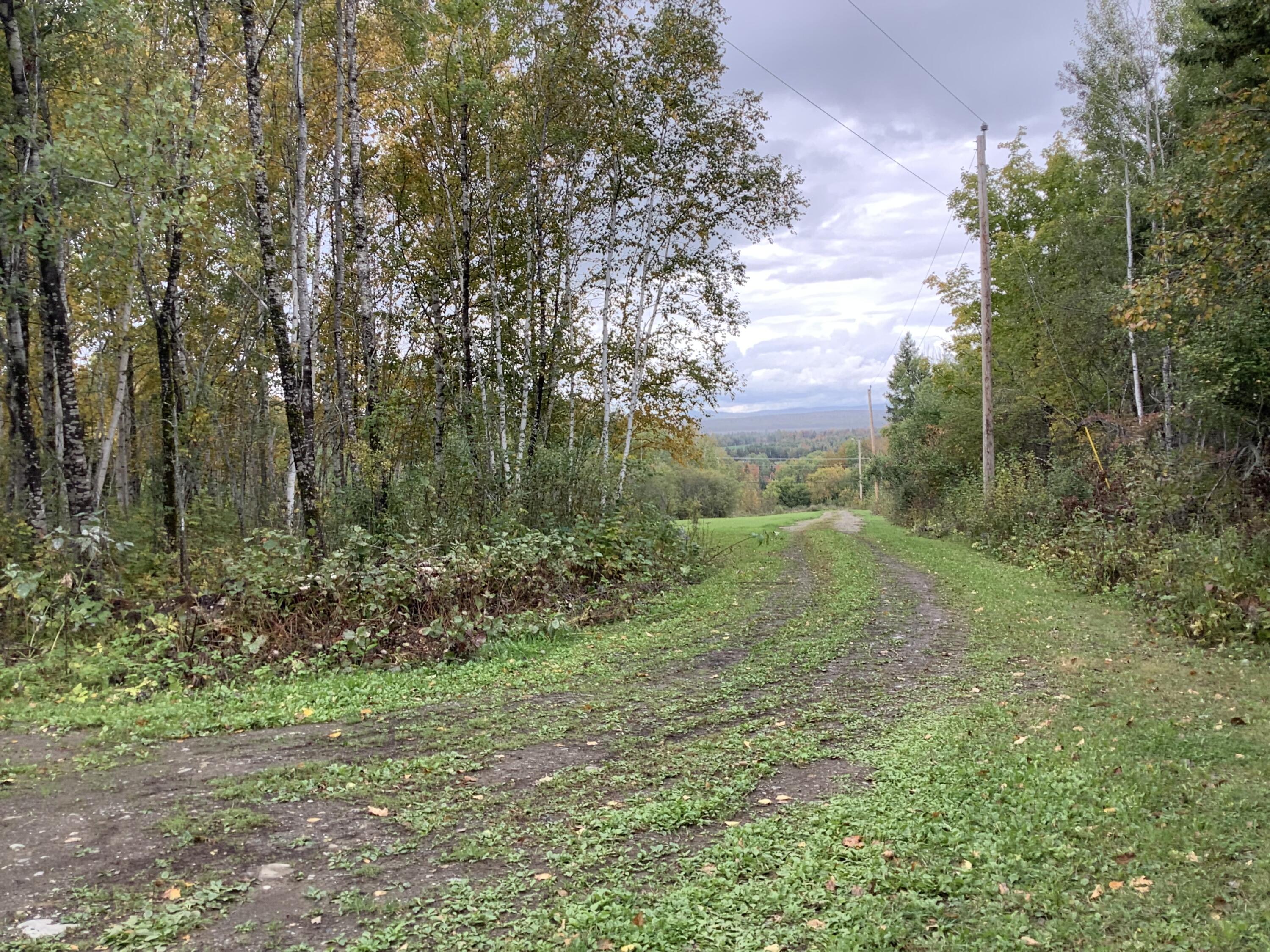 13 Cold Spring Road Ashland, ME 04732 - Photo 32 of 35 IMG_7777