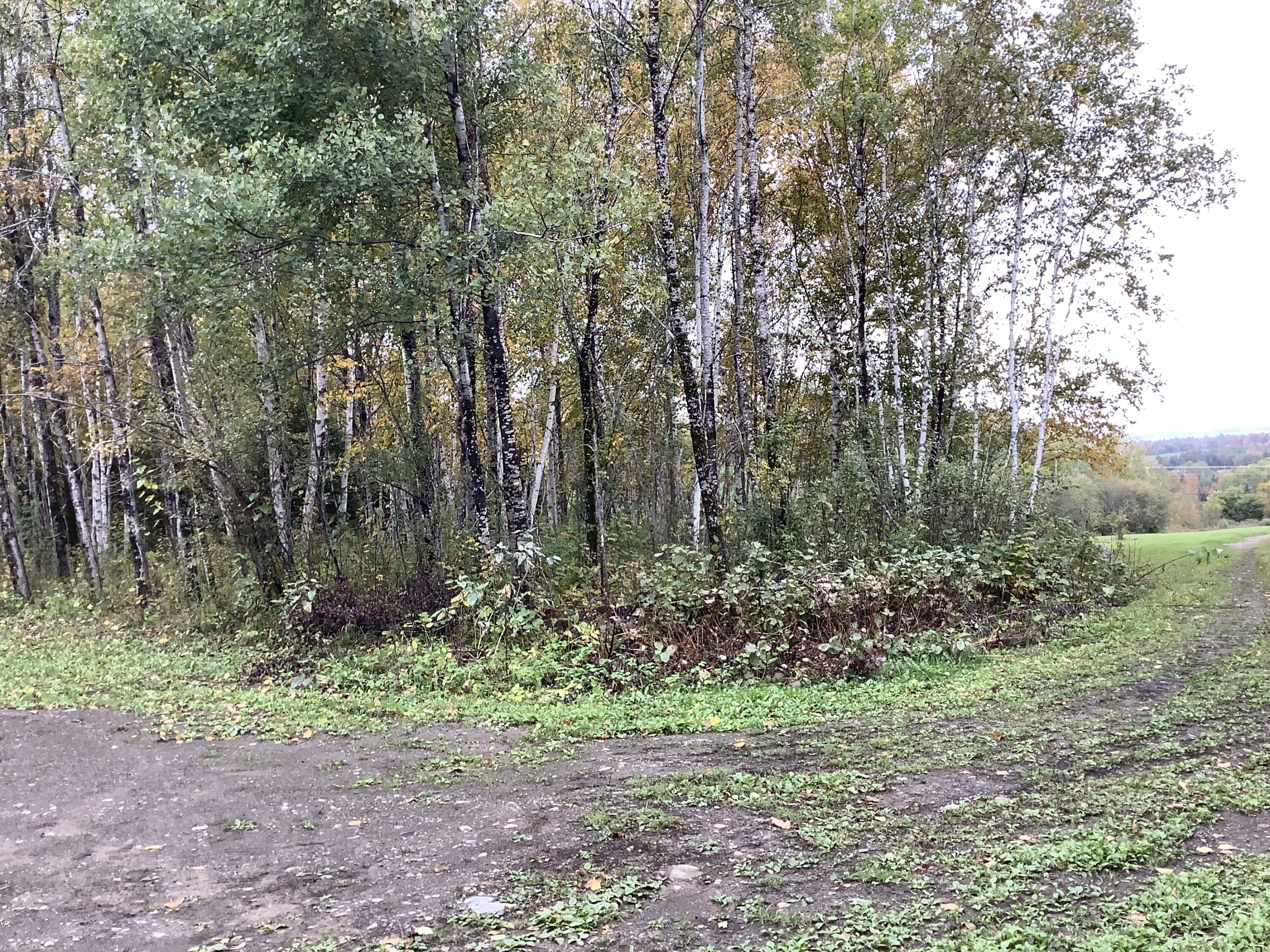 13 Cold Spring Road Ashland, ME 04732 - Photo 33 of 35 IMG_7778