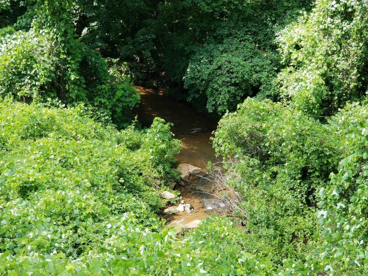 9 Mill Spring Mill Spring, NC 28756 - Photo 1 of 22