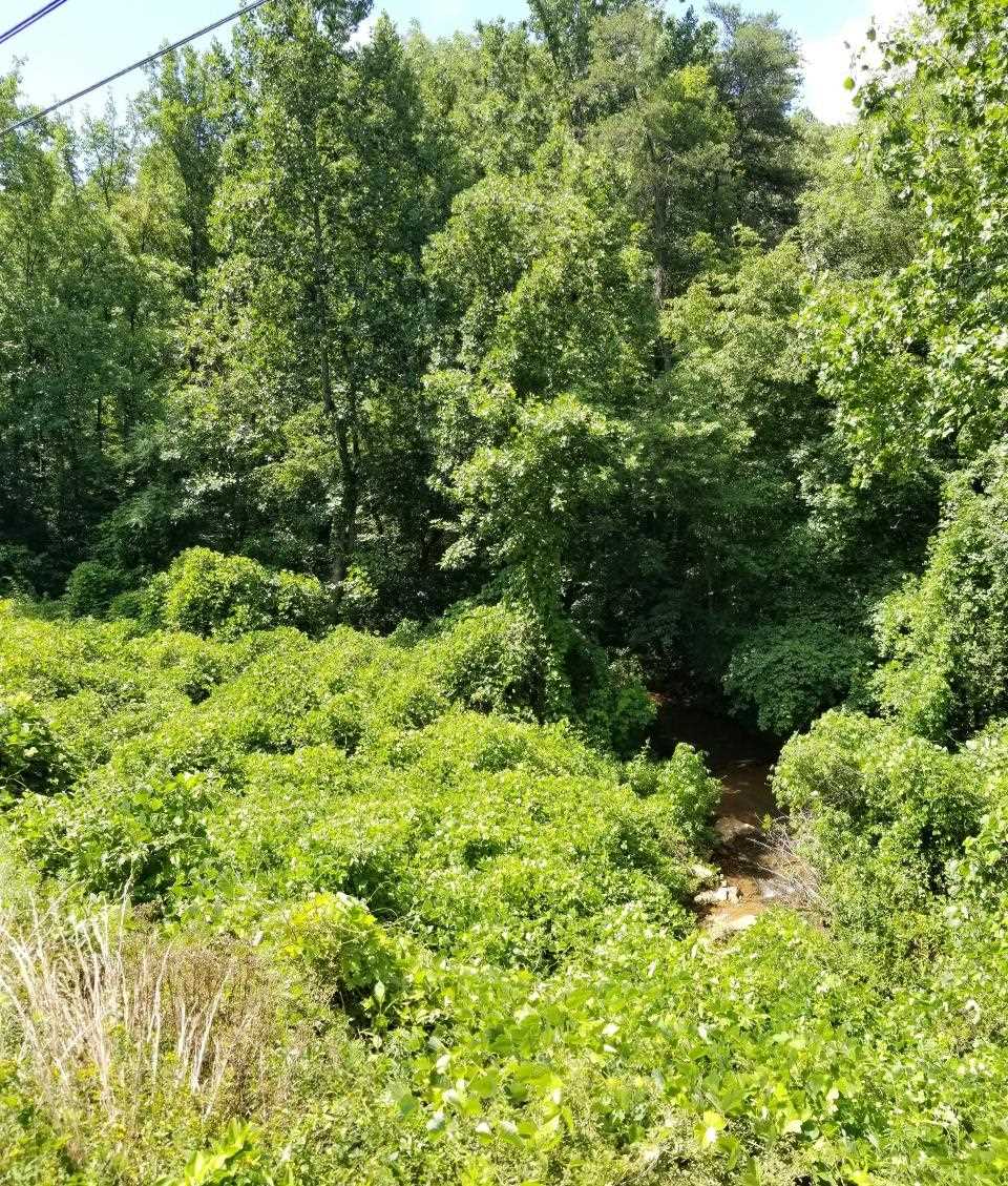 9 Mill Spring Mill Spring, NC 28756 - Photo 13 of 22