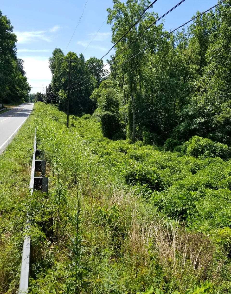 9 Mill Spring Mill Spring, NC 28756 - Photo 15 of 22