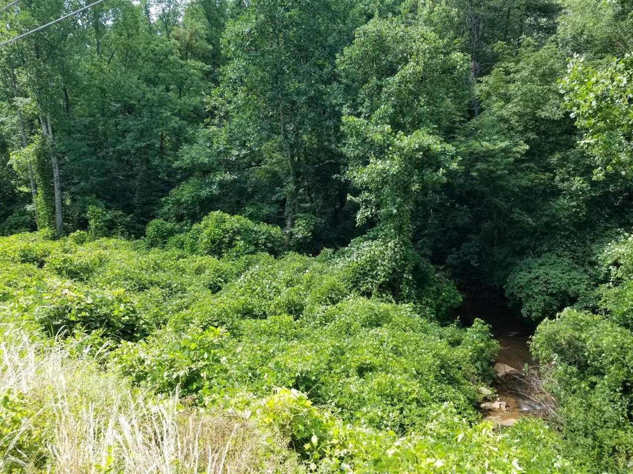 9 Mill Spring Mill Spring, NC 28756 - Photo 4 of 22