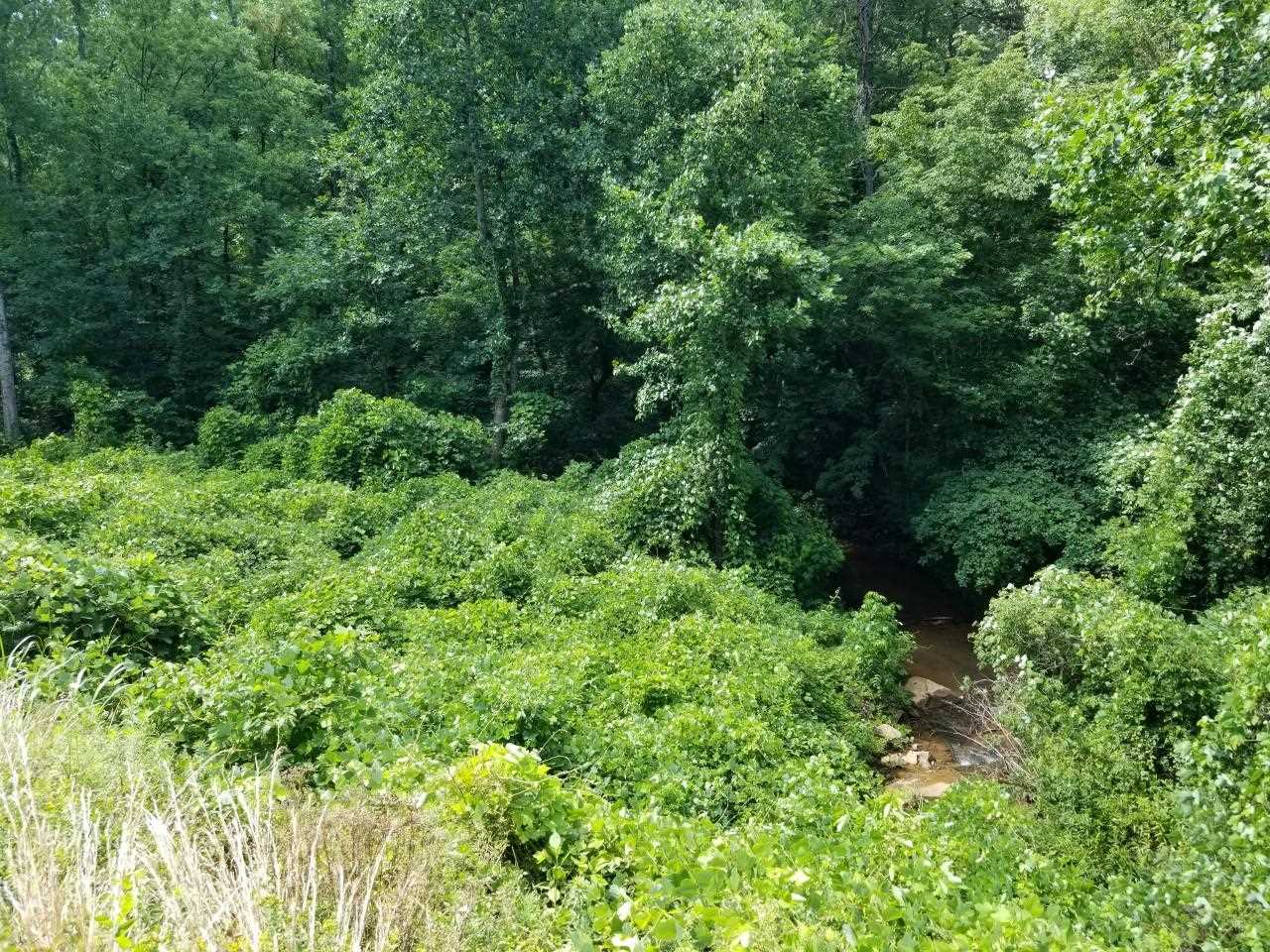 9 Mill Spring Mill Spring, NC 28756 - Photo 5 of 22