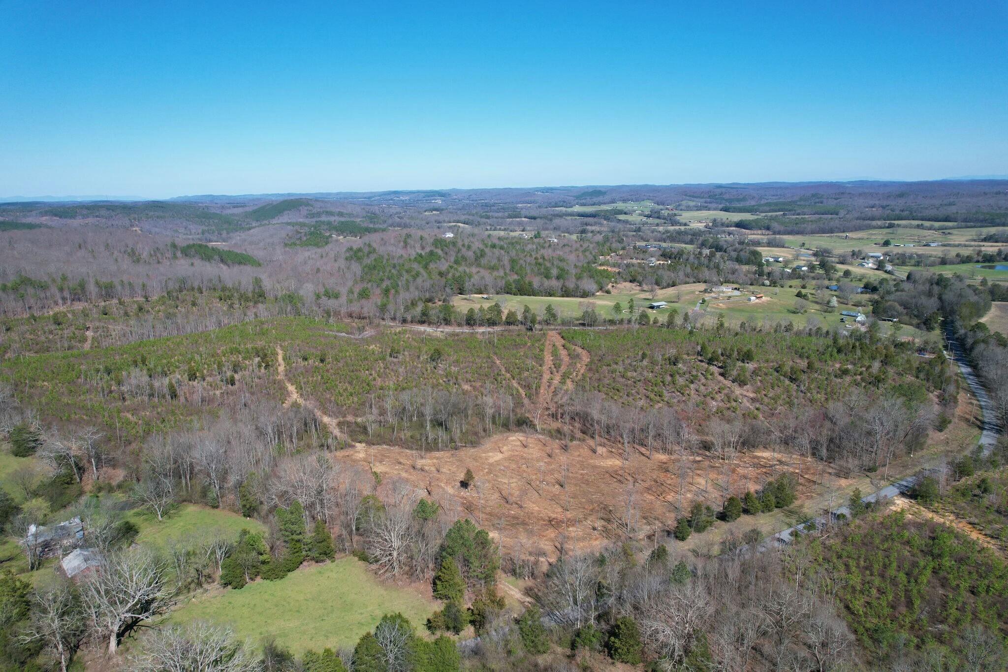 0 Big Sewee Road Decatur, TN 37322 - Photo 1 of 17 tempImagePu3fNT