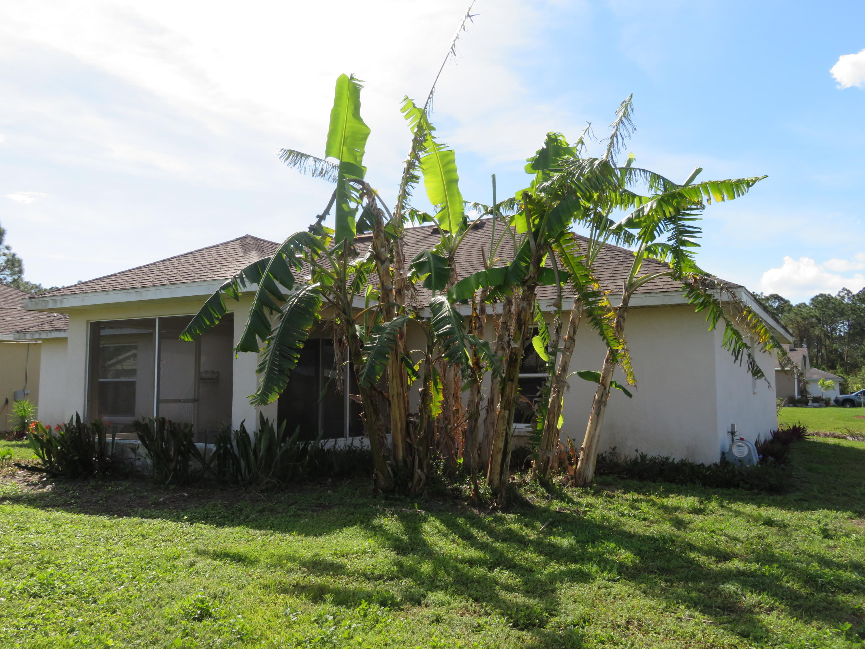 801 Clifton Road Southeast Palm Bay, FL 32909 - Photo 23 of 25 a backyard of a house with lots of green space