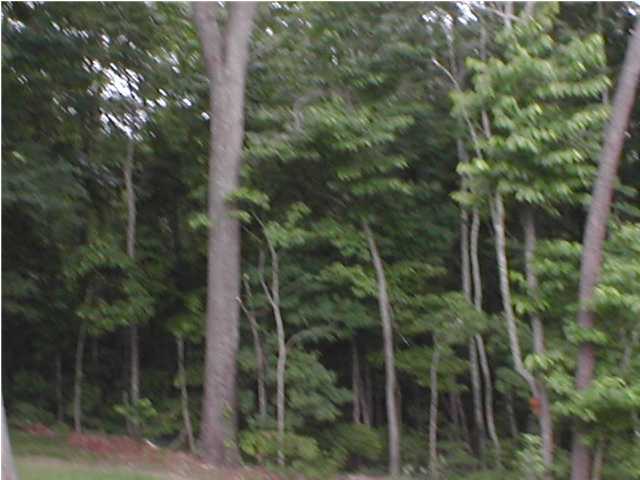 1735 Yaphank Road Soddy Daisy, TN 37379 - Photo 6 of 7 Additional Photo