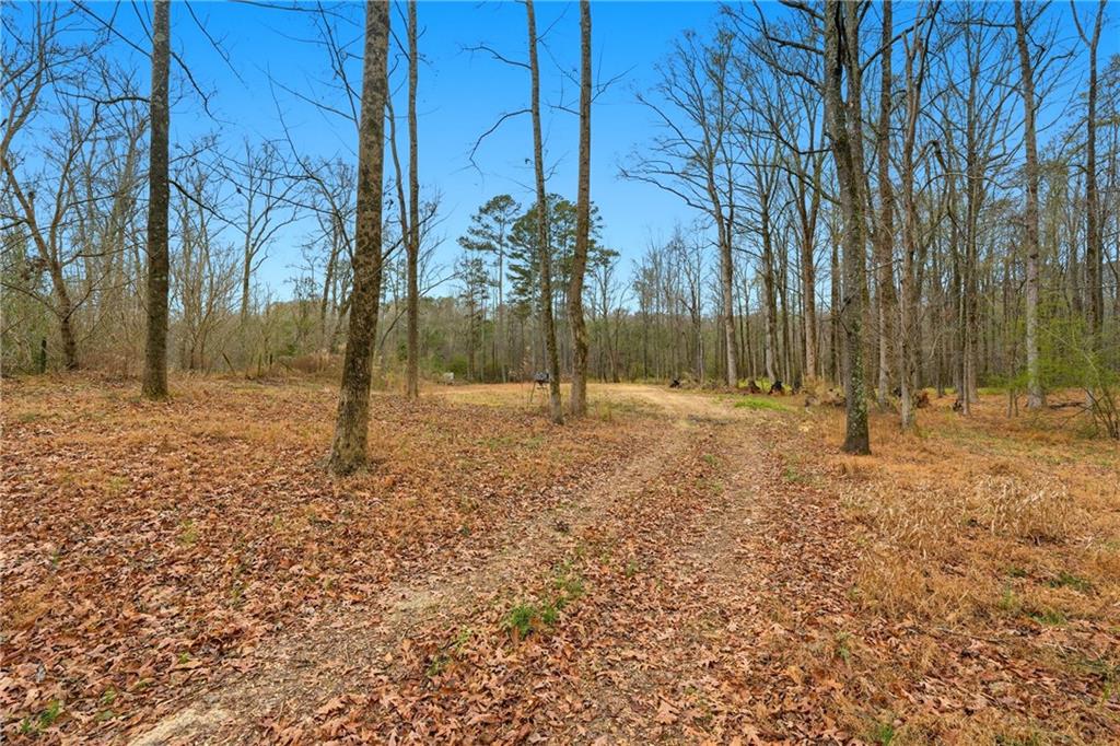 1188 Carl-Bethlehem Road Winder, GA 30680 - Photo 30 of 31 a backyard of a house with lots of green space