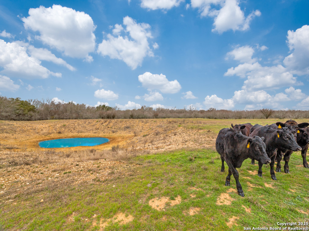 1000 Mill Creek Road Seguin, TX 78155 - Photo 8 of 15 a view of lake with mountain in the background