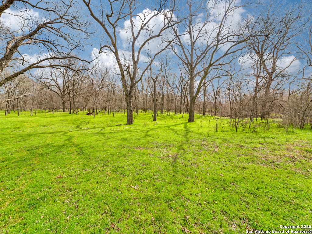 1000 Mill Creek Road Seguin, TX 78155 - Photo 9 of 15