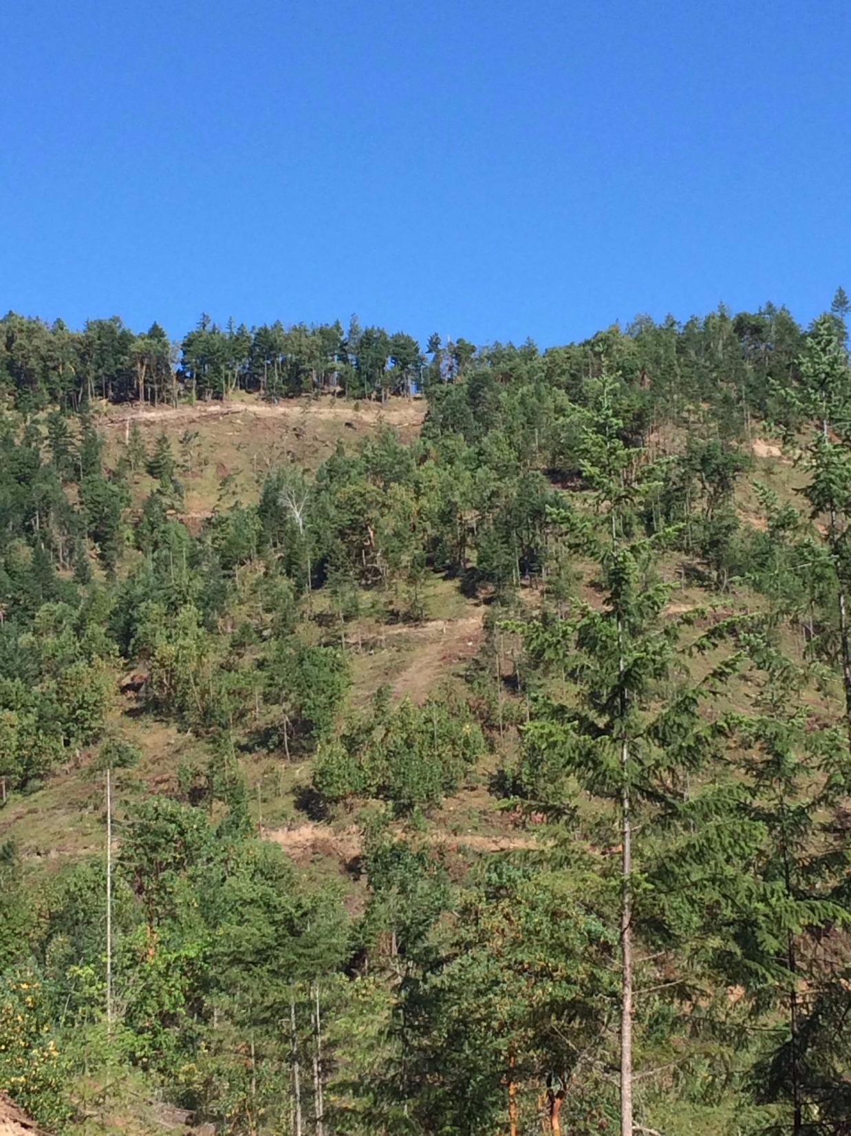 1400 Hummingbird Lane Talent, OR 97540 - Photo 10 of 15 lots of roads to access property