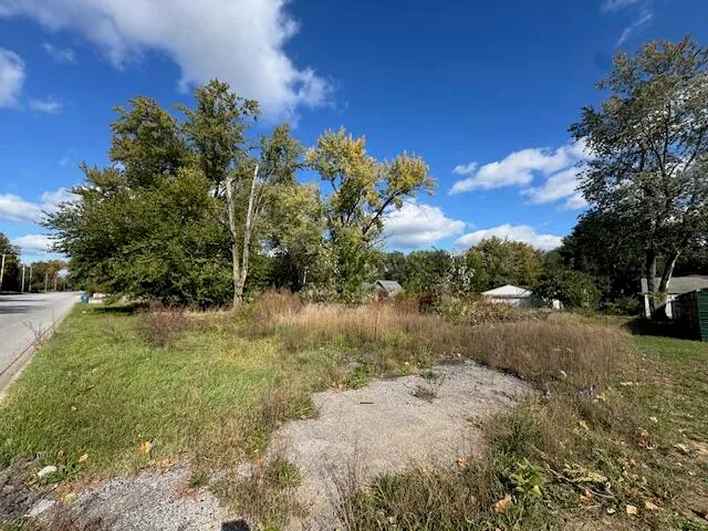 a view of a yard with a tree