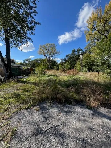 a view of a yard with a tree