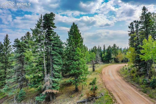 9958 Highway 78 Rye, CO 81069 - Photo 25 of 30 Gallery Image 25