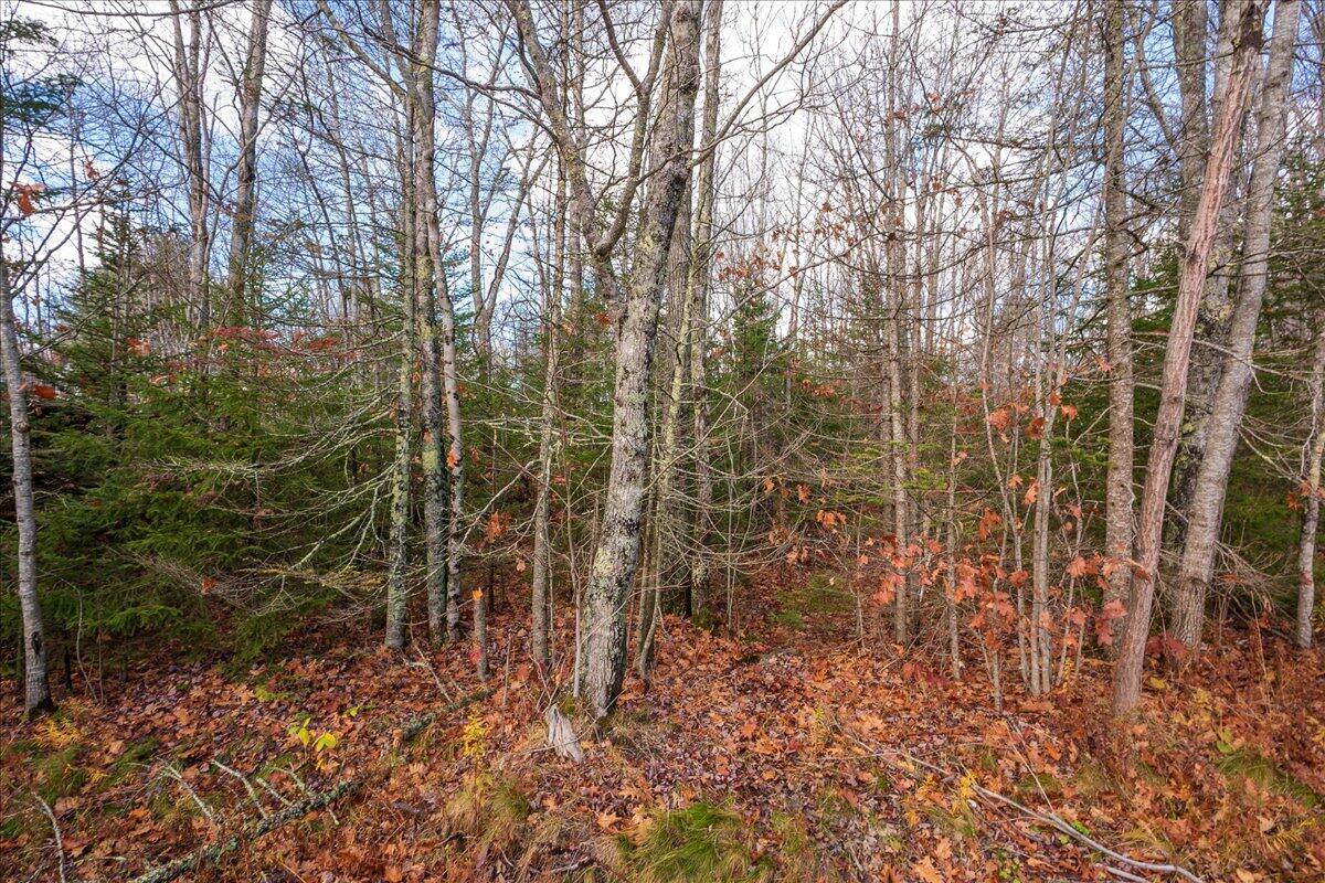 Lot 24 Cushing Road Cushing, ME 04563 - Photo 32 of 36 31-M7 Lot 24-31