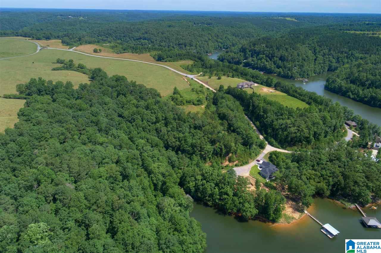 0 Ridge Drive, Unit 58 PART 54 & BOAT RAMP Arley, AL 35541 - Photo 22 of 27