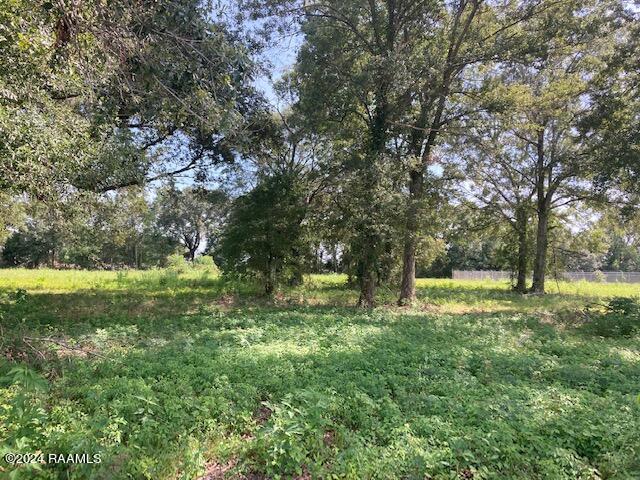 2 Rena Eunice, LA 70535 - Photo 4 of 5 IMG_2403