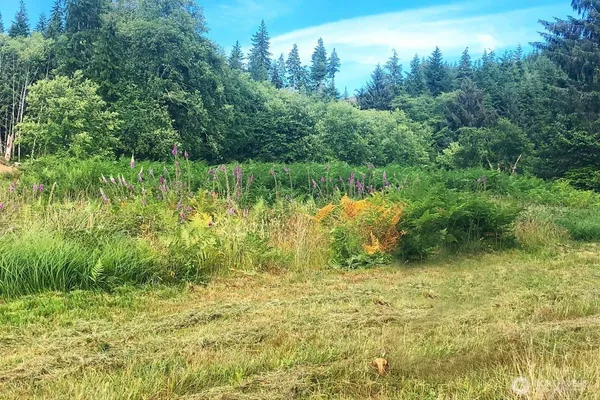 a view of lake with green space
