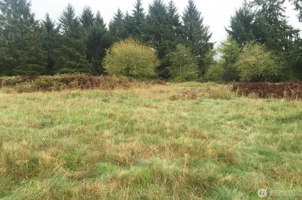 a view of a yard with a tree