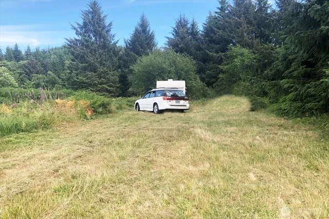 a house with trees in front of it