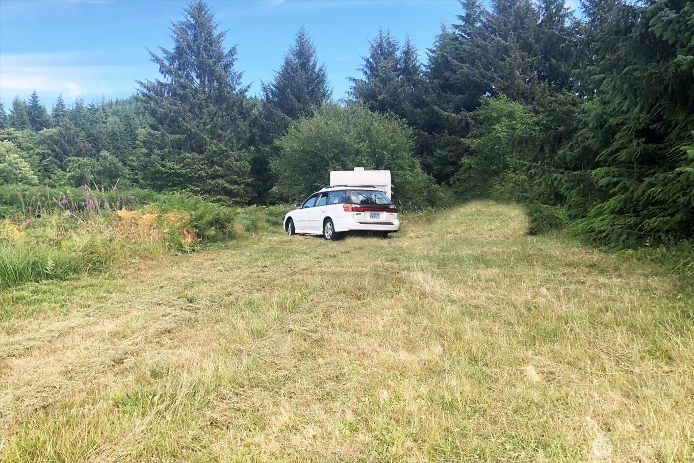 0 South Valley Road, Unit LOT 5 Naselle, WA 98638 - Photo 6 of 11 a house with trees in front of it
