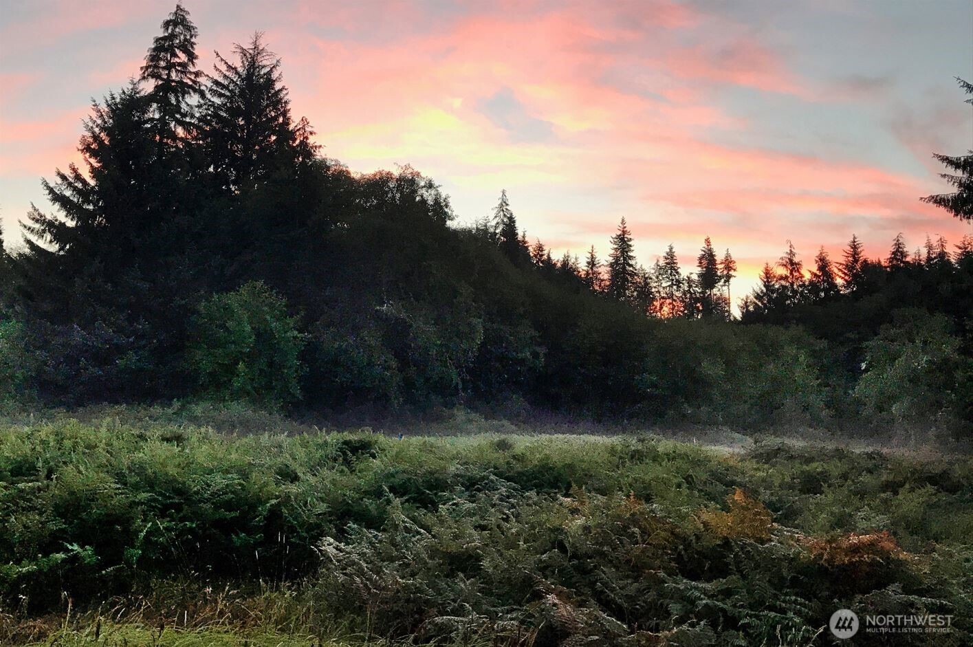0 South Valley Road, Unit LOT 5 Naselle, WA 98638 - Photo 7 of 11 a view of a yard