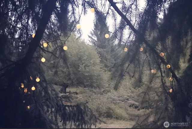 a backyard of a house with lots of trees