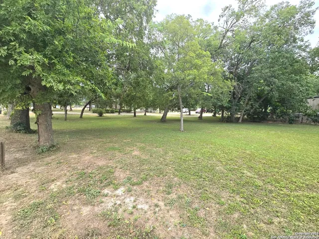 a view of a field with a tree