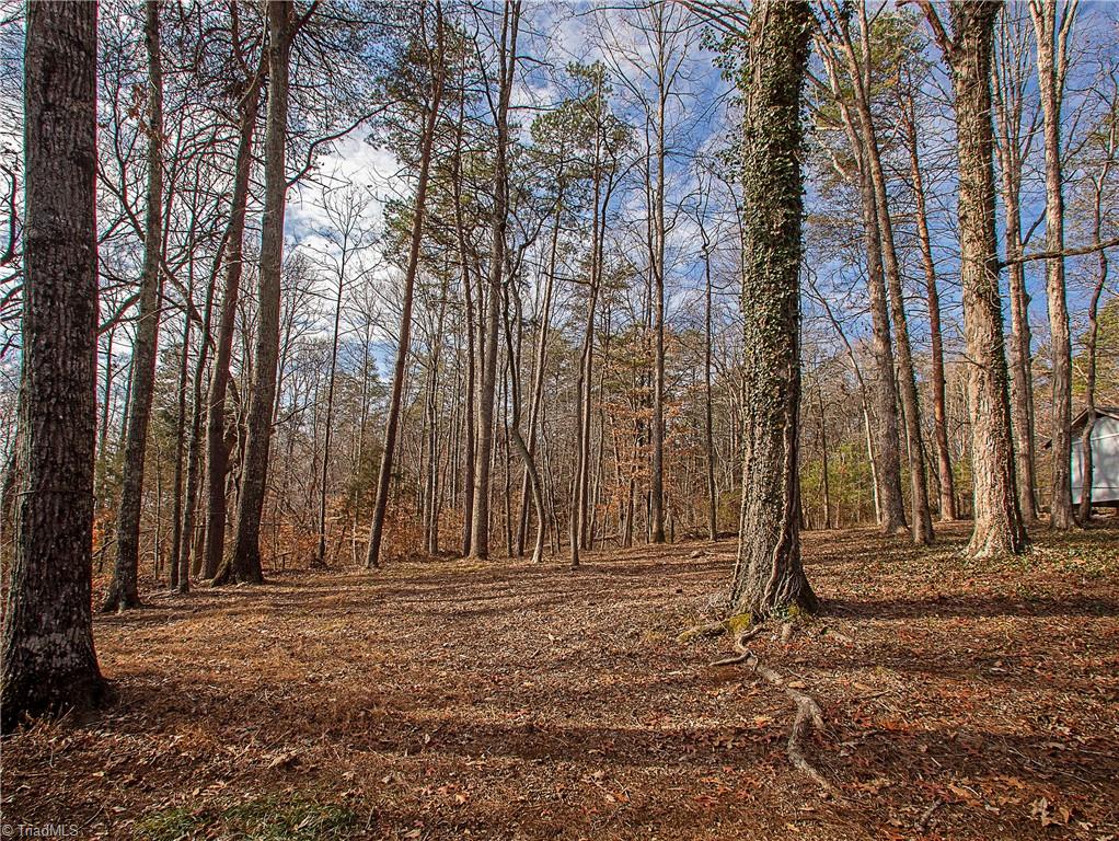 722 Lakedale Road Colfax, NC 27235 - Photo 22 of 22