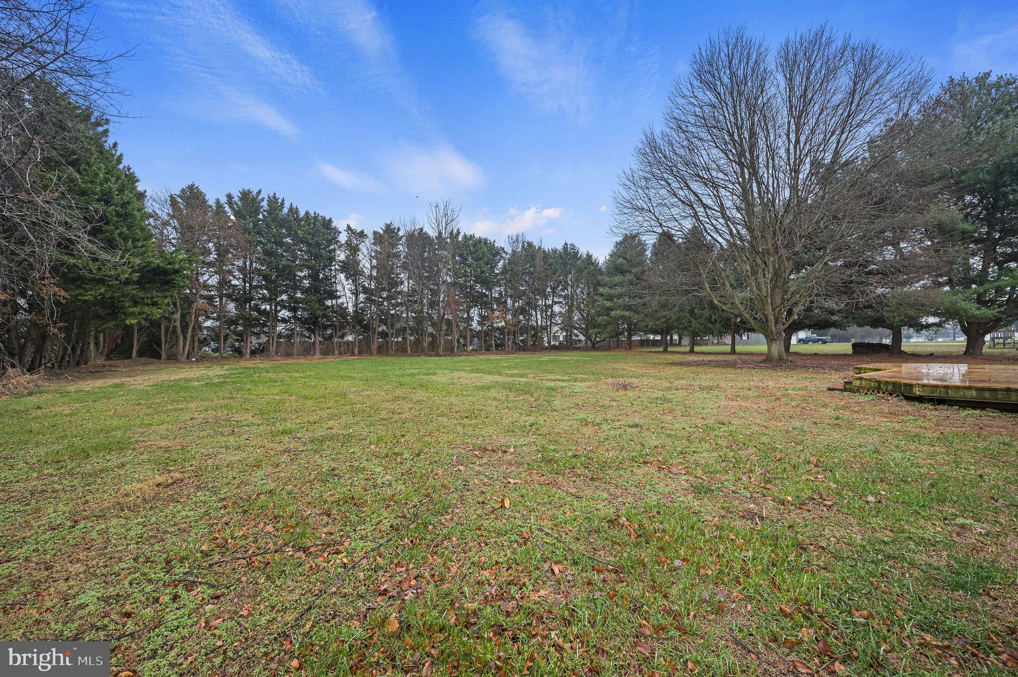 311 Sophers Row Magnolia, DE 19962 - Photo 35 of 40 a view of outdoor space with deck and yard