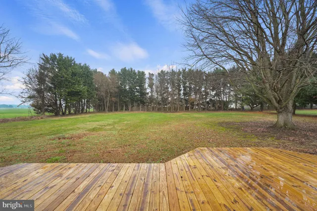a view of a yard with a house in the background
