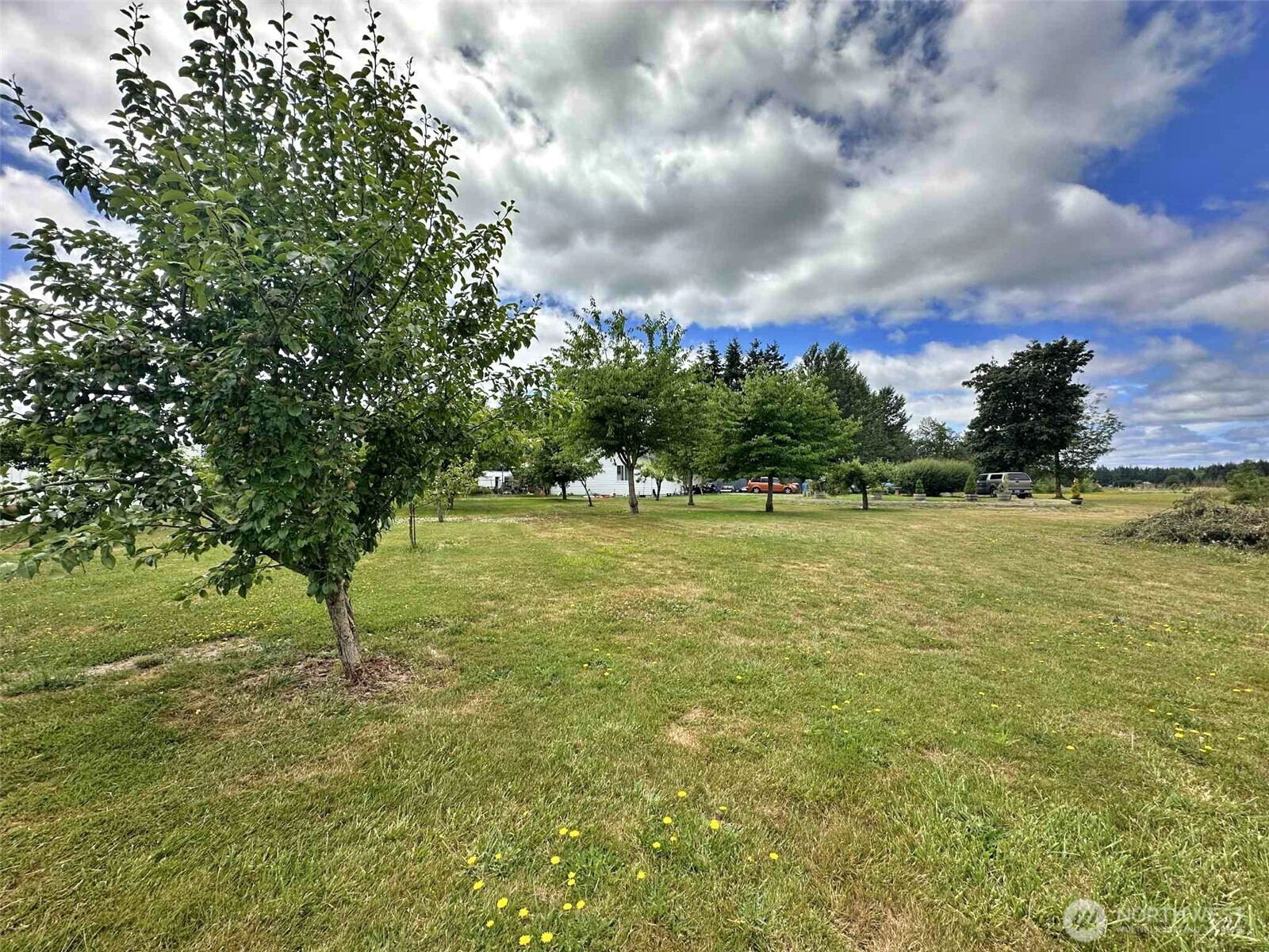 119 Brim Road Onalaska, WA 98570 - Photo 3 of 14 a view of a garden with a bench