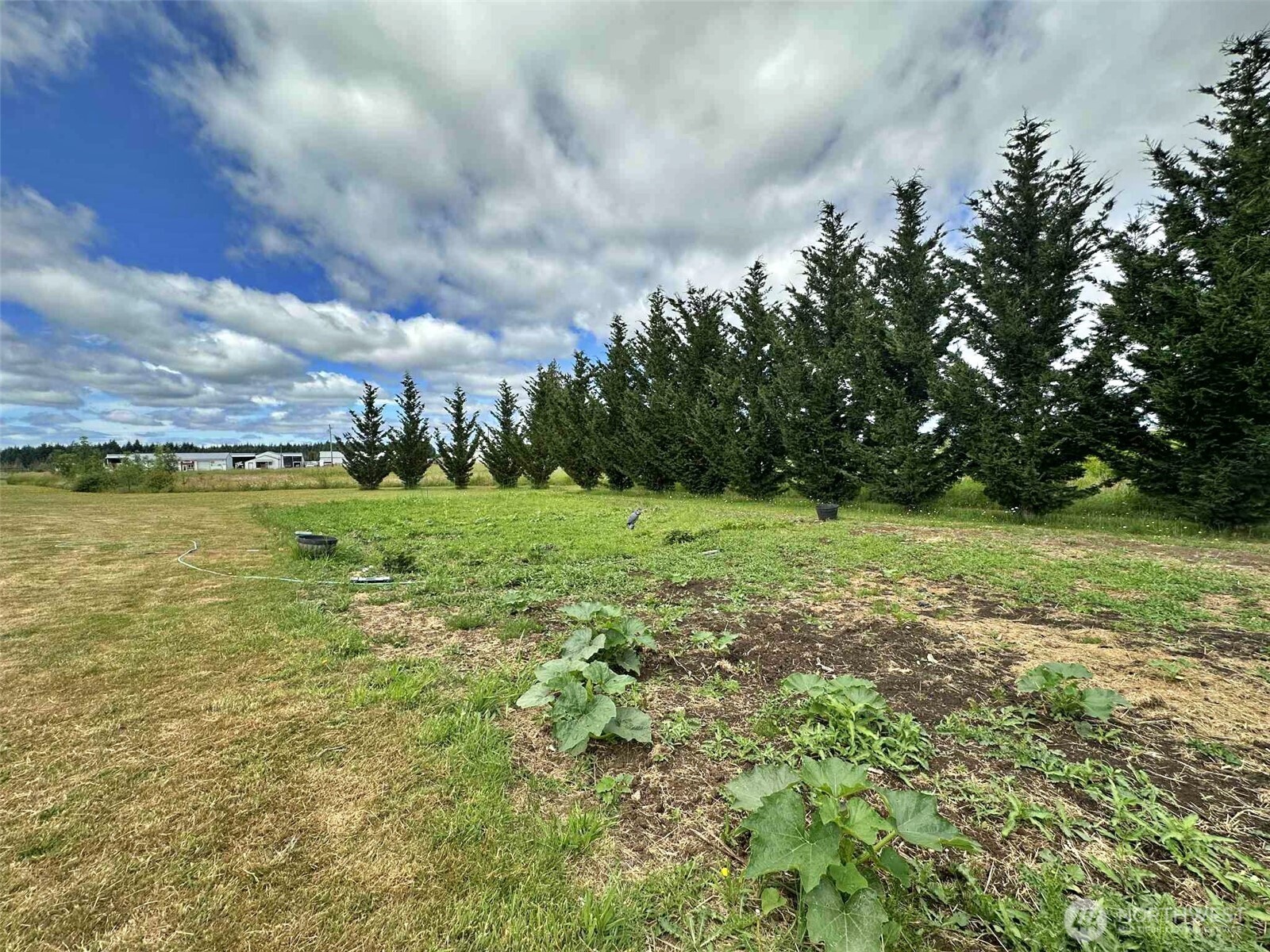 119 Brim Road Onalaska, WA 98570 - Photo 5 of 14 a view of a field with an ocean