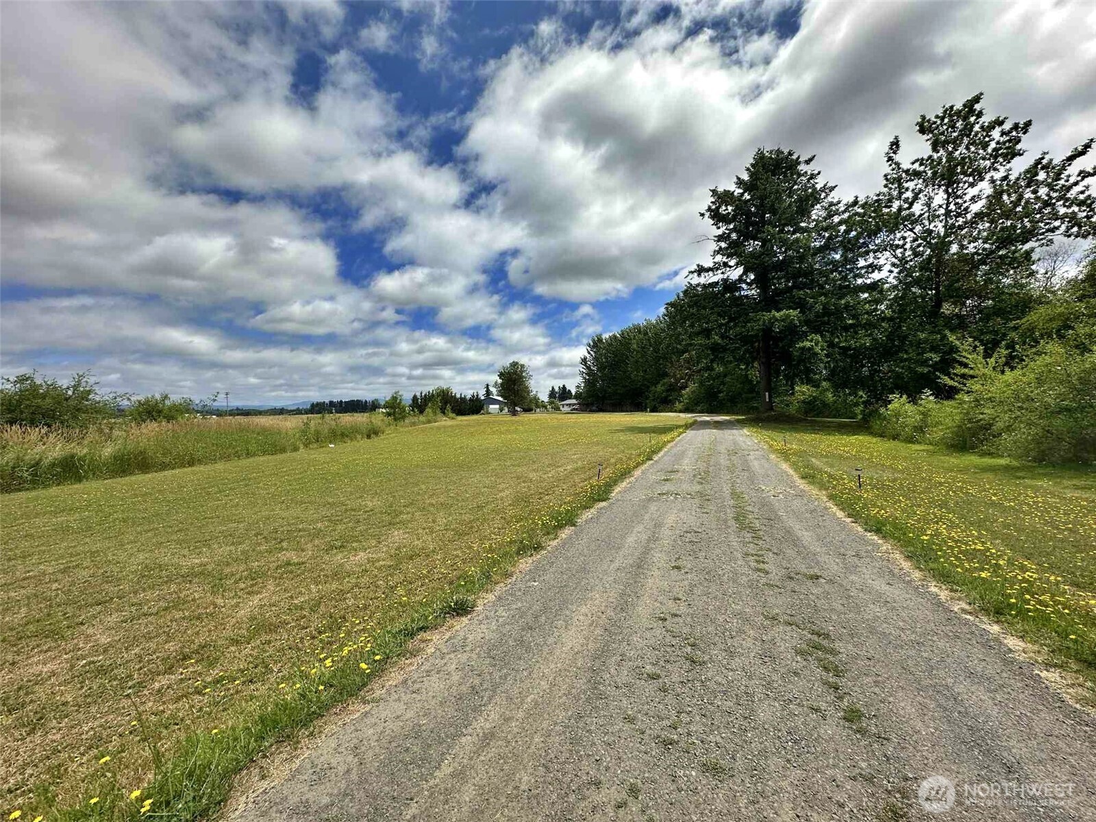119 Brim Road Onalaska, WA 98570 - Photo 8 of 14 a view of a lake with a big yard