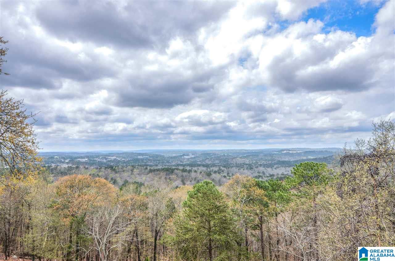 2045 Brook Highland Ridge Birmingham, AL 35242 - Photo 2 of 40