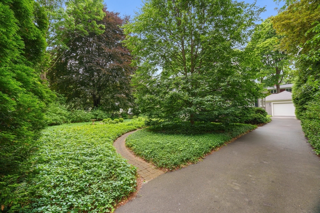 21 Marsh Street Dedham, MA 02026 - Photo 3 of 42 Gallery Image 3