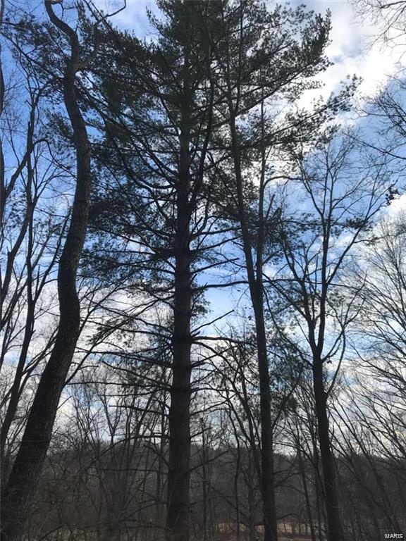 0 Liberty Ridge Road Grafton, IL 62037 - Photo 14 of 15