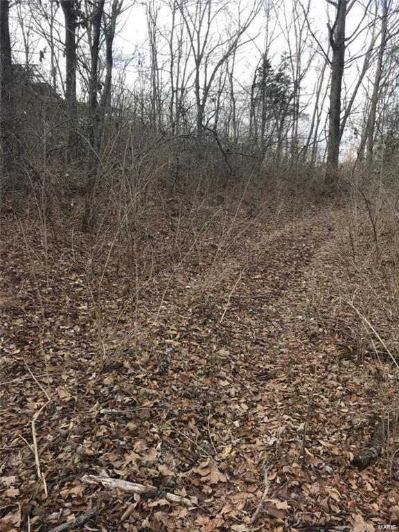 0 Liberty Ridge Road Grafton, IL 62037 - Photo 8 of 15