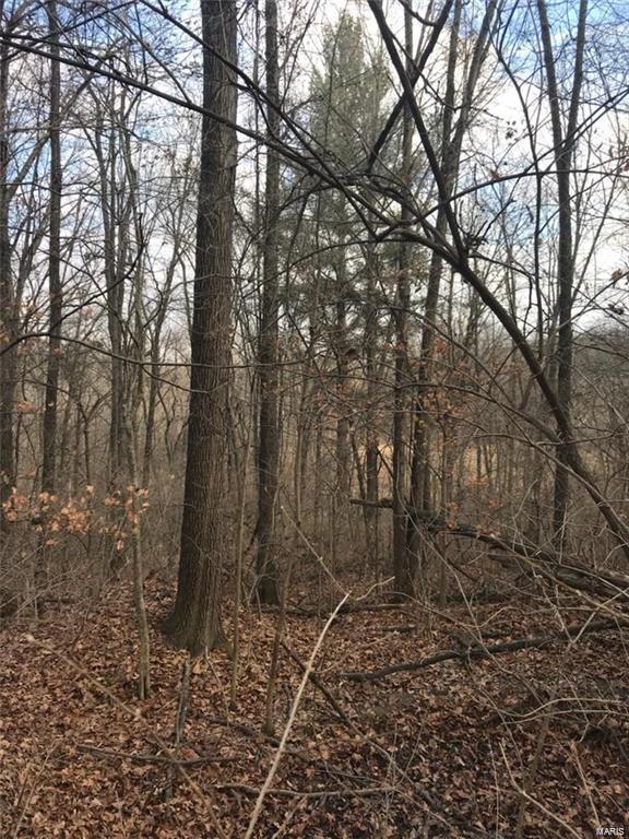 0 Liberty Ridge Road Grafton, IL 62037 - Photo 10 of 15