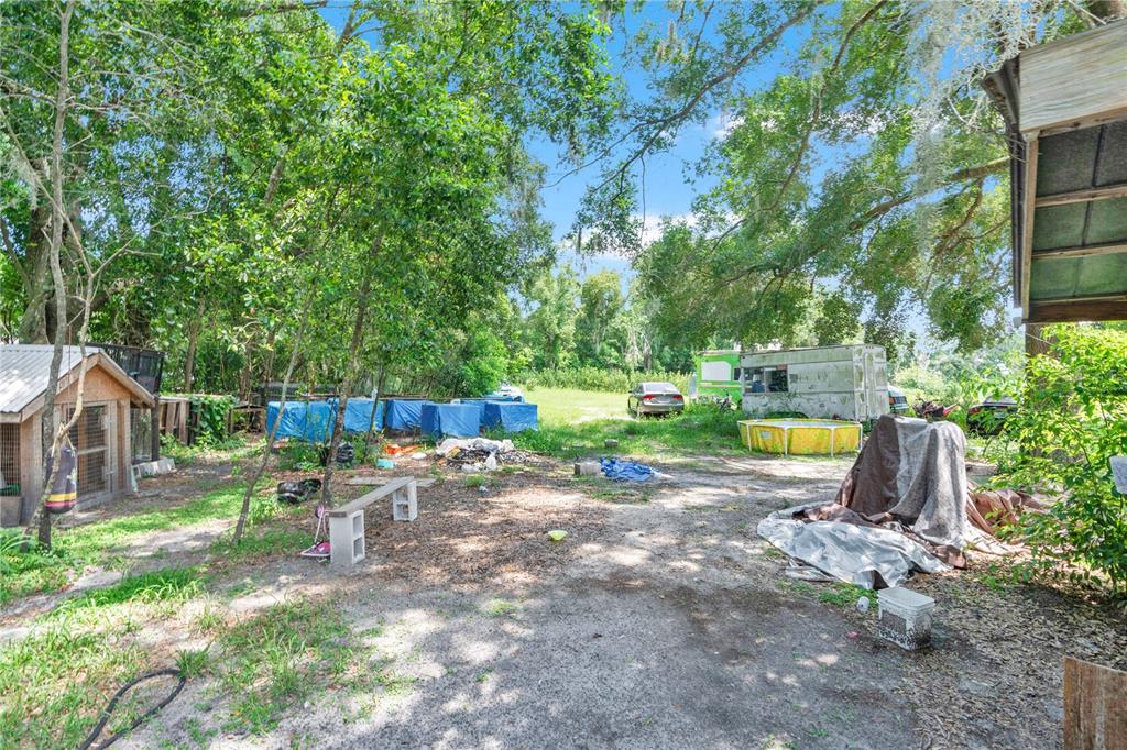 4850 West Ponkan Road Zellwood, FL 32798 - Photo 9 of 35