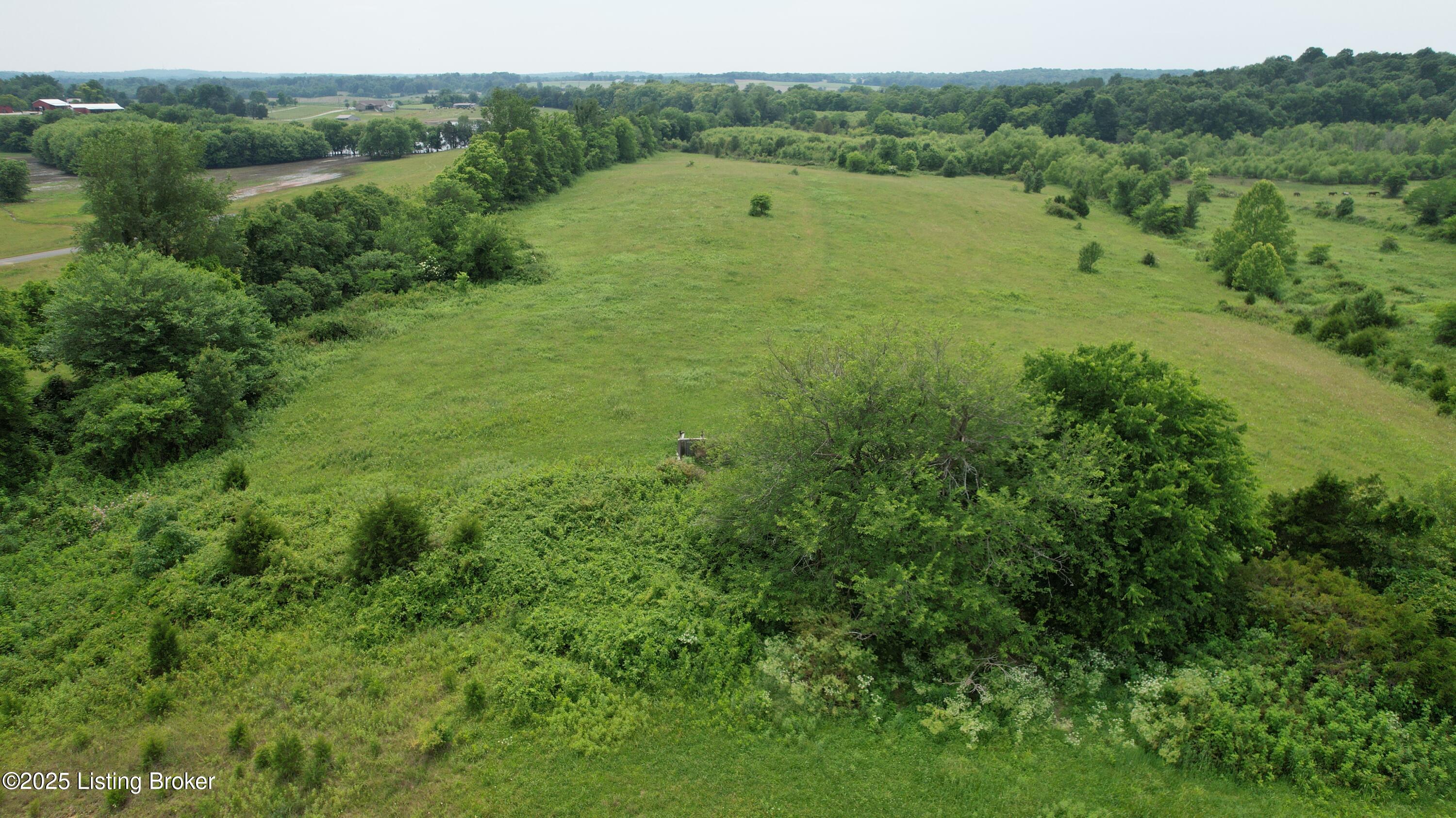 0 Upton Road Upton, KY 42784 - Photo 19 of 71 DJI_0946