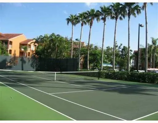 a view of a backyard with large trees and plants