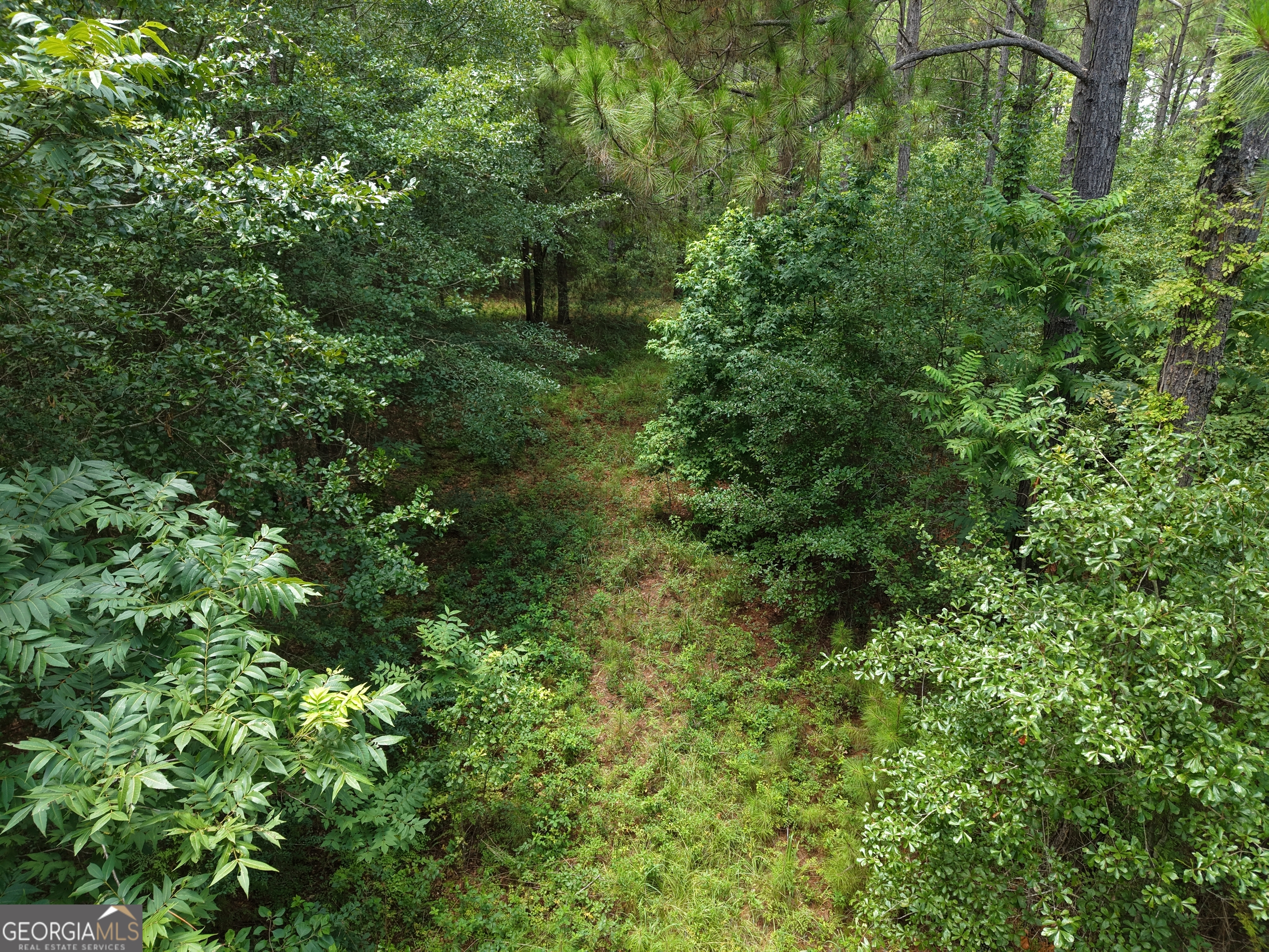 775 Fains Hatchery Road Edison, GA 39846 - Photo 8 of 21