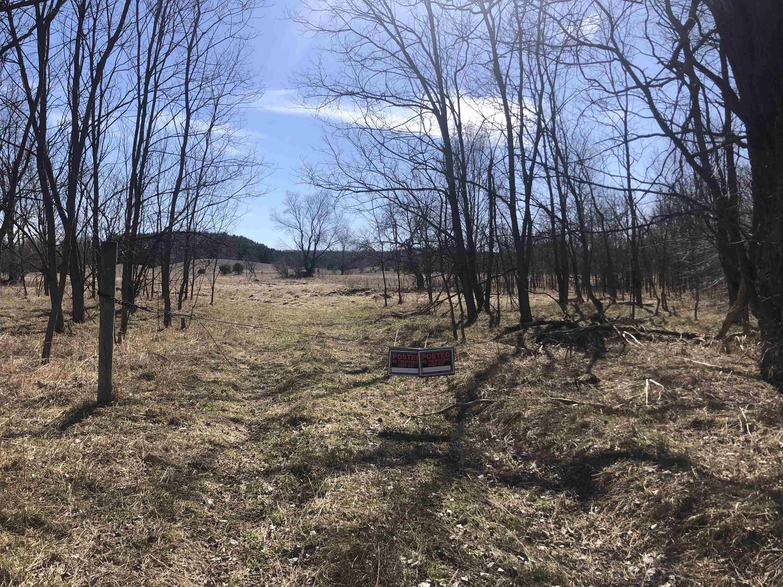 9 South 9 Mile Road Copemish, MI 49625 - Photo 2 of 35