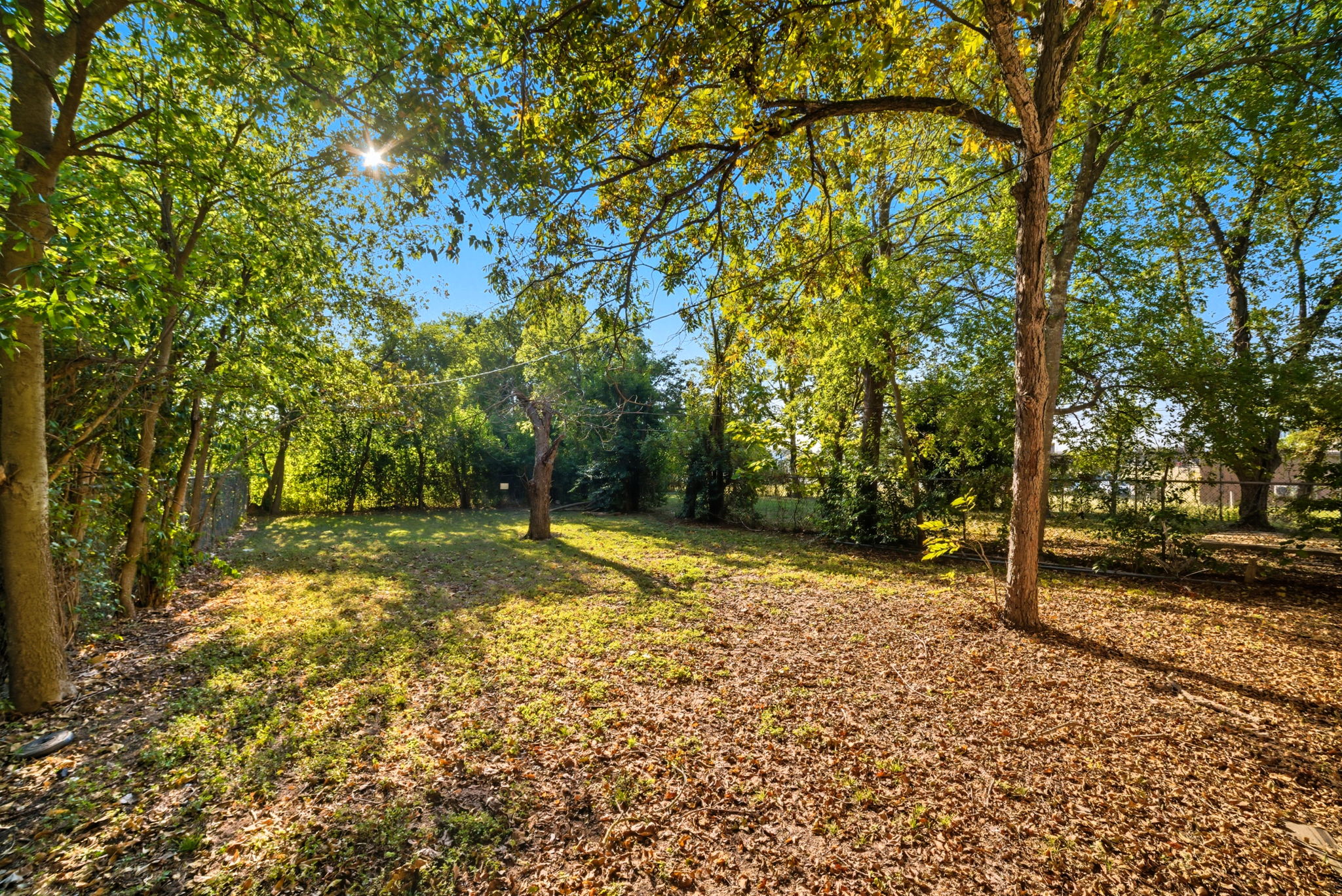 1413 South 2nd Street Temple, TX 76504 - Photo 23 of 24 a view of a yard with plants and trees