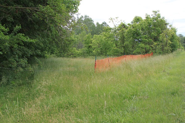 1130 County Road 73 Butler, IN 46721 - Photo 36 of 36