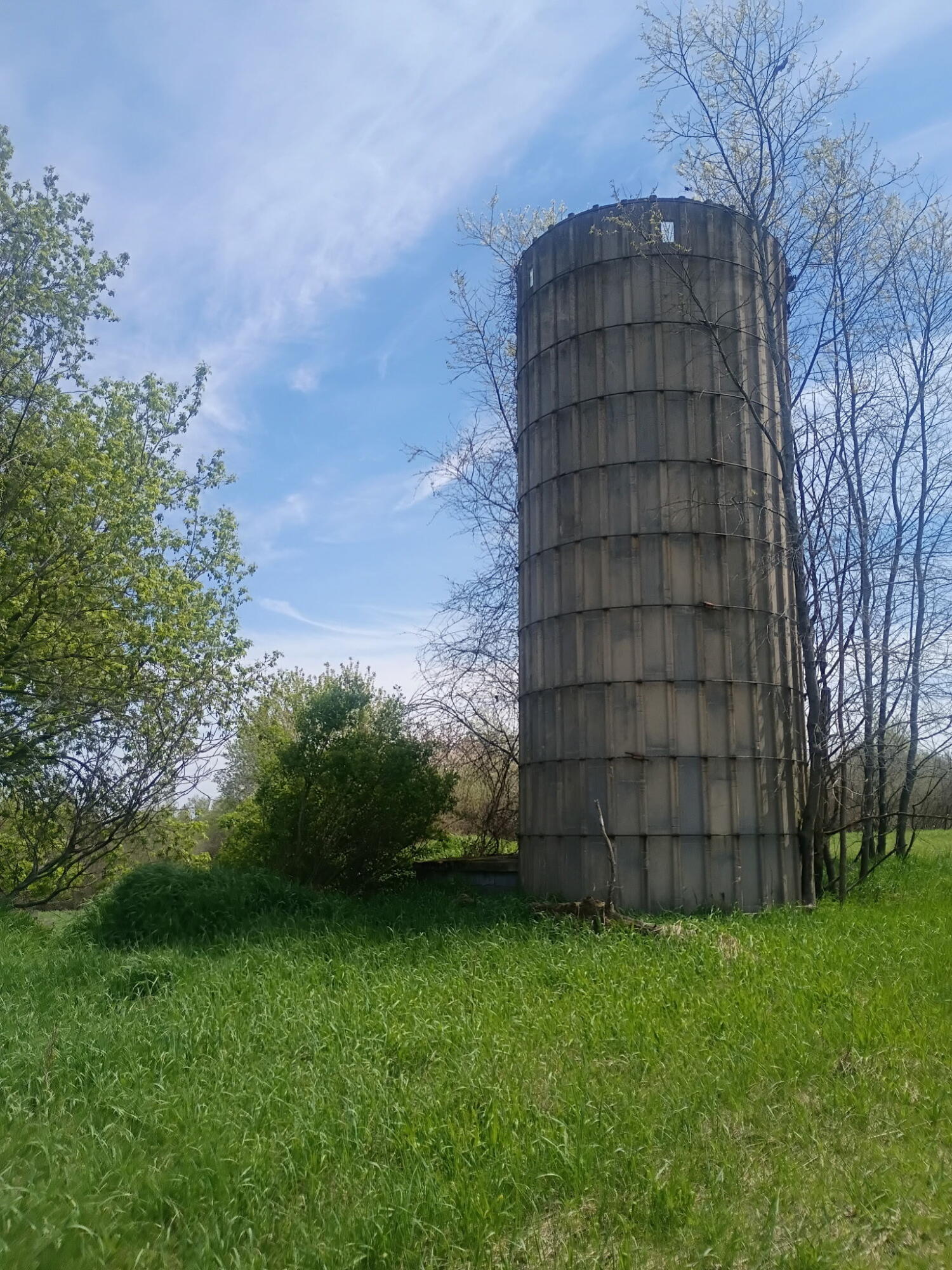 7015 East Harrison Road Walkerville, MI 49459 - Photo 21 of 23 IMG_20260530_145742 (15)